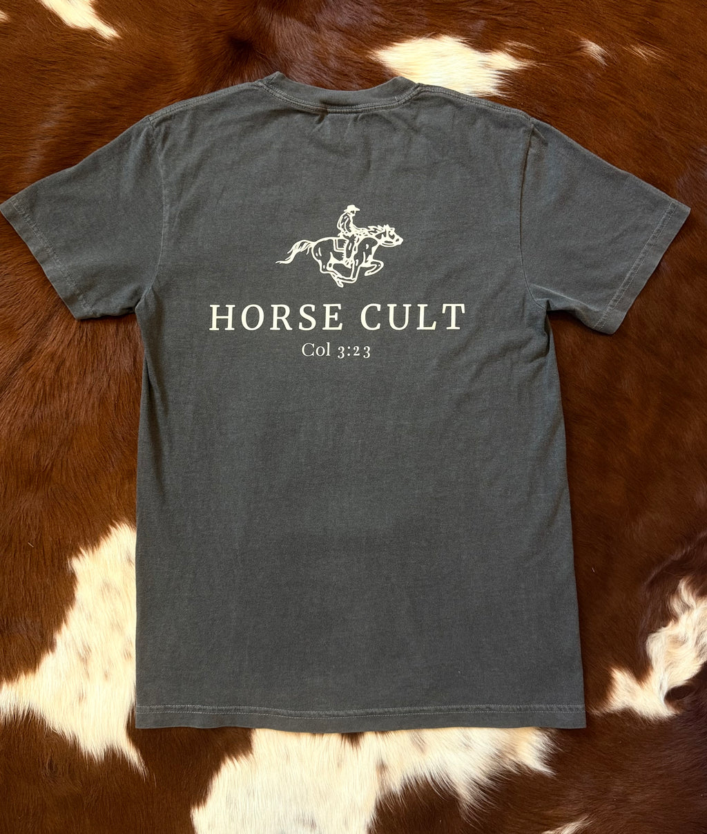 Pepper gray HC tee shirt